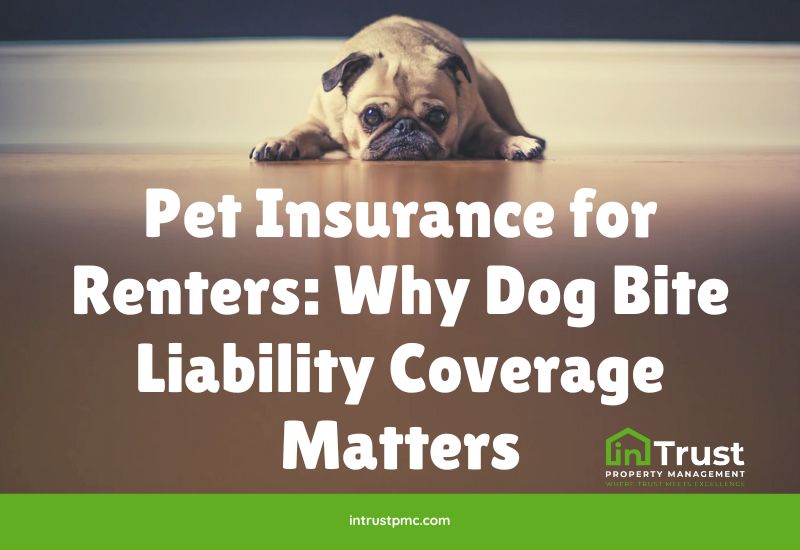 Pet Insurance for Renters: Why Dog Bite Liability Coverage Matters